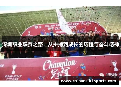 深圳职业联赛之路：从拼搏到成长的历程与奋斗精神